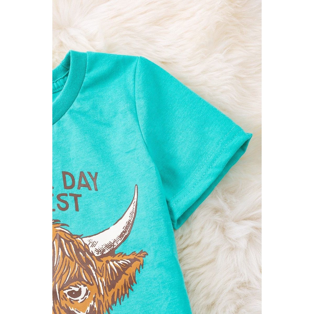 Aqua Highland Cow Printed Boys Tee-shirt