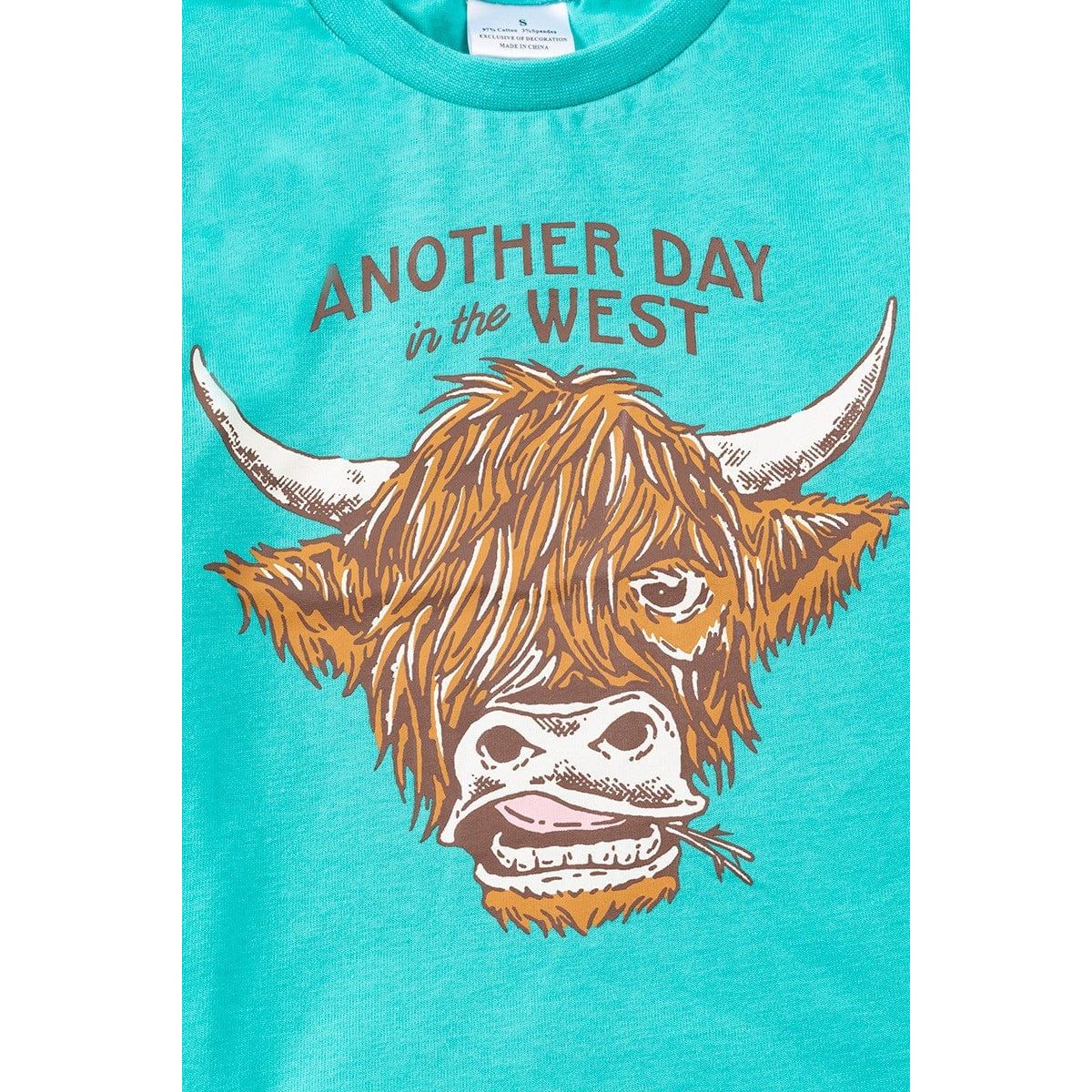 Aqua Highland Cow Printed Boys Tee-shirt