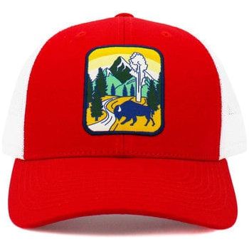 Buffalo mesh back ballcap
