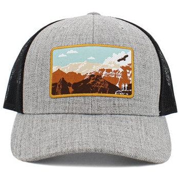 Eagle mesh back ballcap