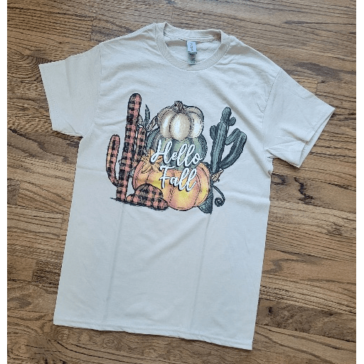 Hello Fall Pumpkin T-shirt